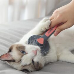 SELF-CLEANING CAT HAIR COMB